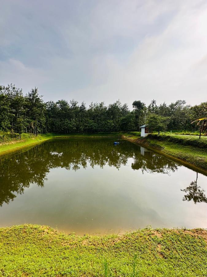 Green Castle Gonikoppal 외부 사진